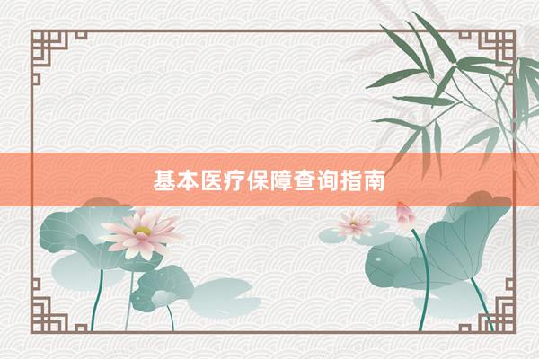 基本医疗保障查询指南