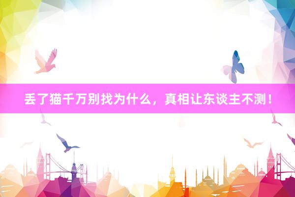 丢了猫千万别找为什么,真相让东谈主不测!