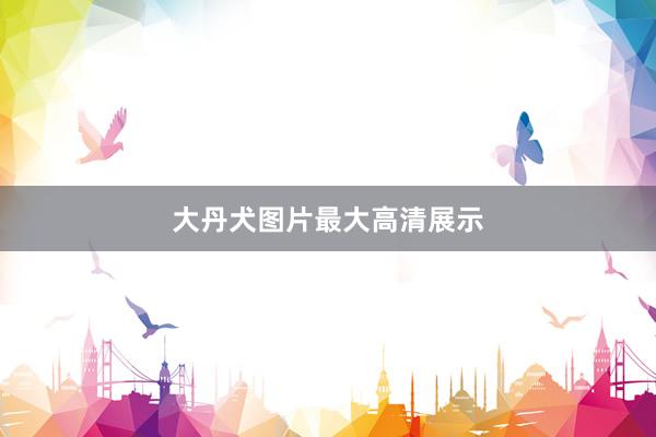 大丹犬图片最大高清展示