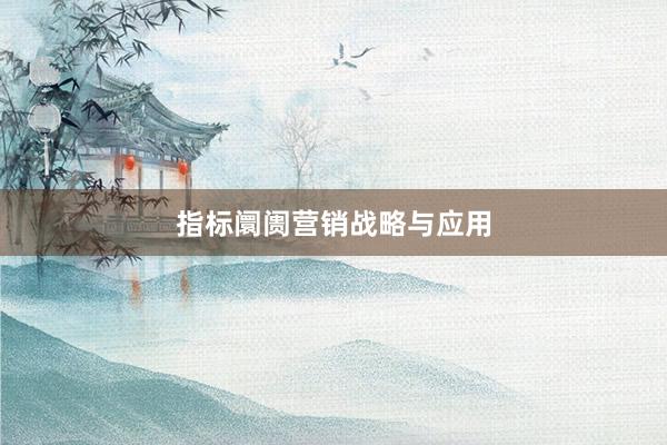 指标阛阓营销战略与应用